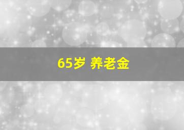 65岁 养老金